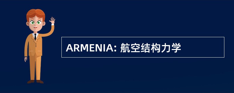 ARMENIA: 航空结构力学