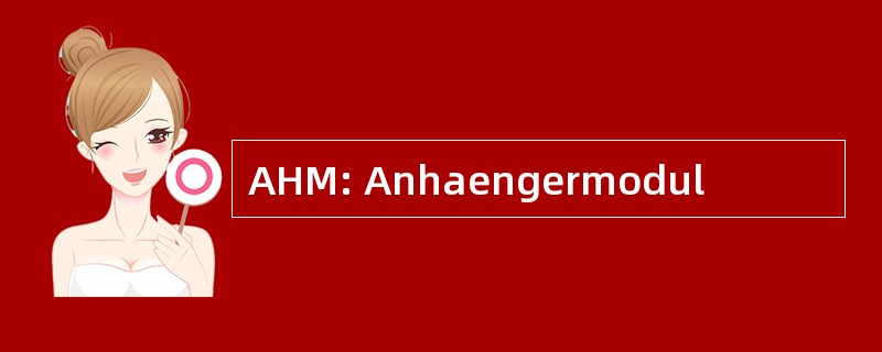 AHM: Anhaengermodul