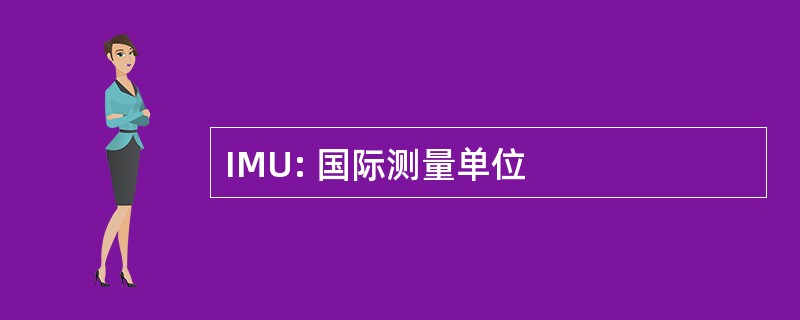 IMU: 国际测量单位