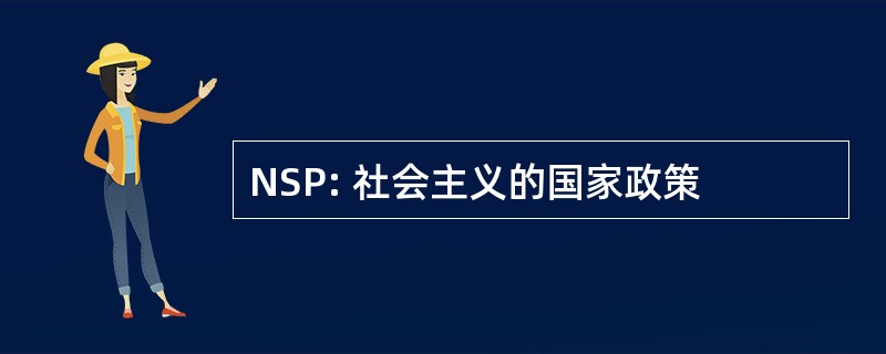 NSP: 社会主义的国家政策