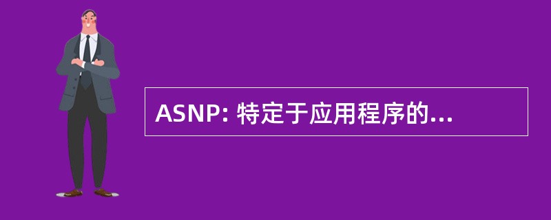 ASNP: 特定于应用程序的网络处理器