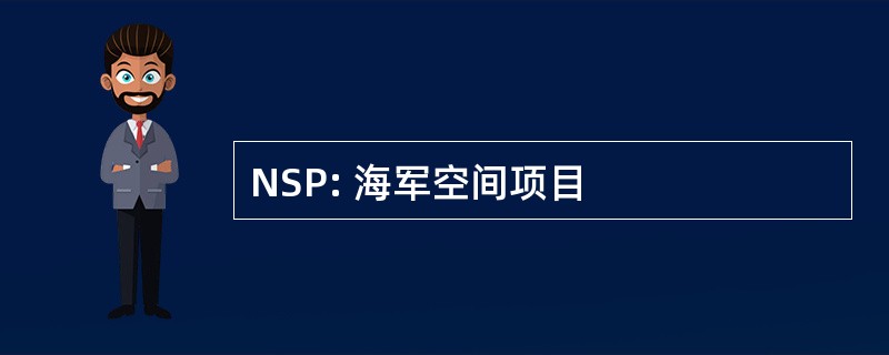 NSP: 海军空间项目