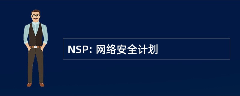 NSP: 网络安全计划