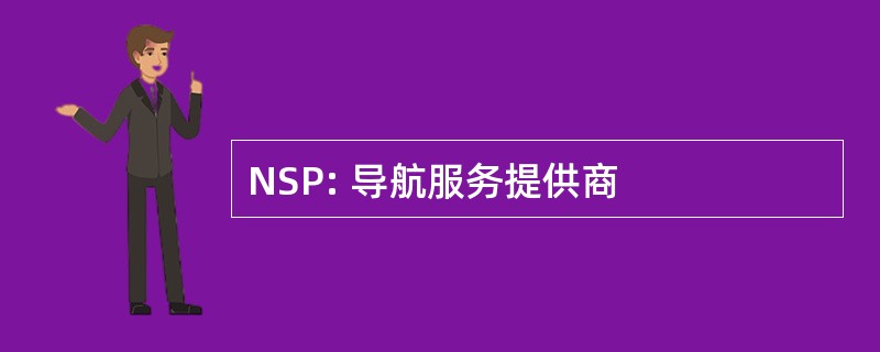 NSP: 导航服务提供商