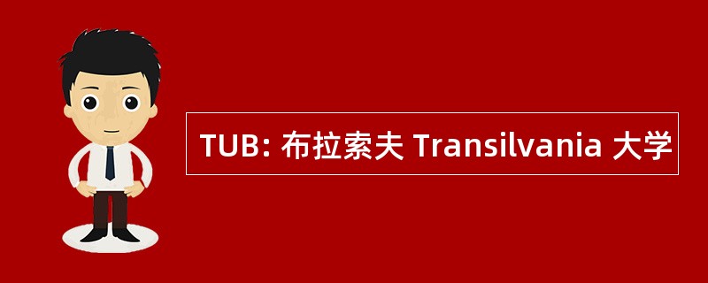 TUB: 布拉索夫 Transilvania 大学