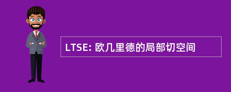 LTSE: 欧几里德的局部切空间