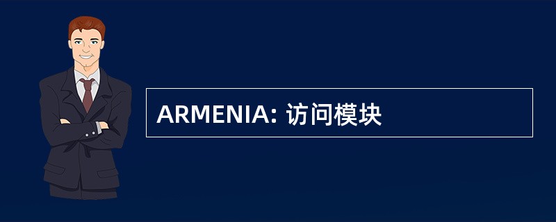 ARMENIA: 访问模块