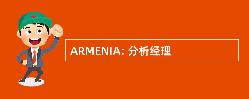 ARMENIA: 分析经理