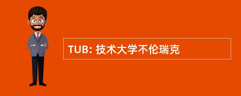 TUB: 技术大学不伦瑞克