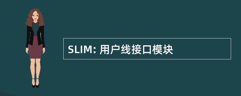 SLIM: 用户线接口模块