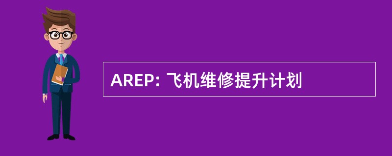 AREP: 飞机维修提升计划