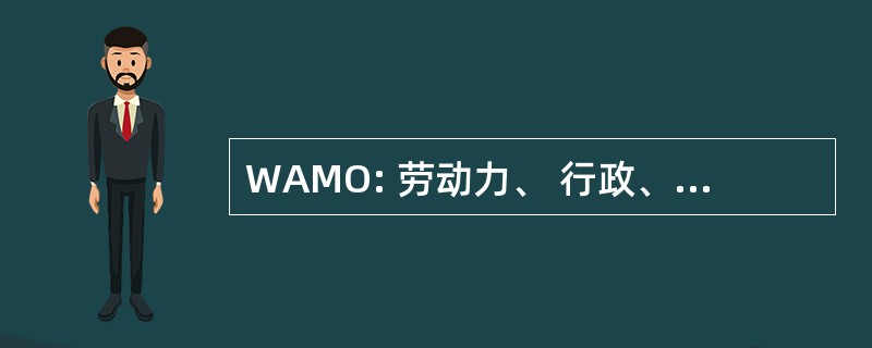 WAMO: 劳动力、 行政、 管理和组织制度