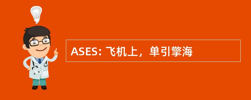 ASES: 飞机上，单引擎海