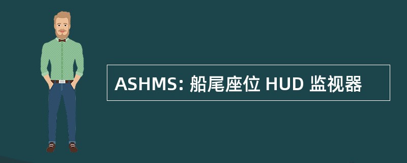 ASHMS: 船尾座位 HUD 监视器