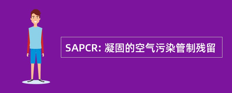 SAPCR: 凝固的空气污染管制残留