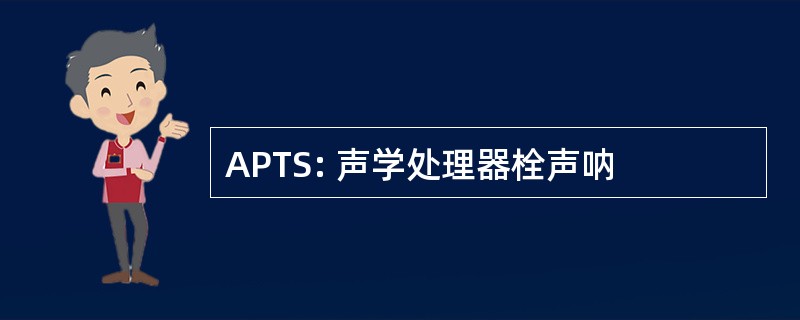 APTS: 声学处理器栓声呐