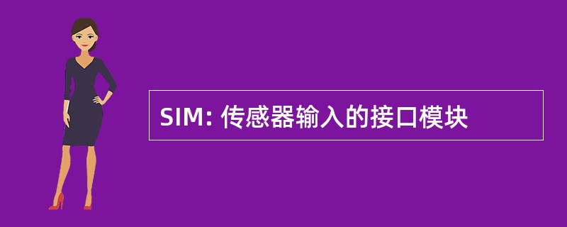 SIM: 传感器输入的接口模块