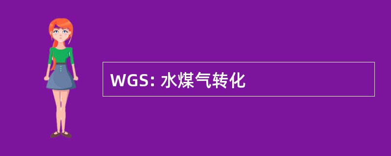 WGS: 水煤气转化