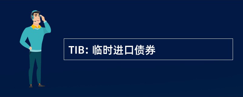 TIB: 临时进口债券