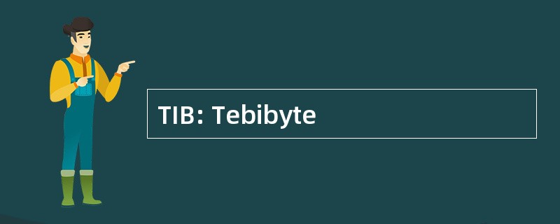 TIB: Tebibyte