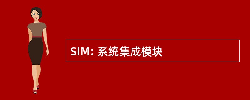 SIM: 系统集成模块