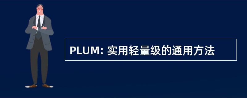 PLUM: 实用轻量级的通用方法