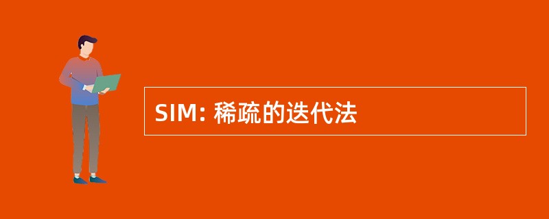 SIM: 稀疏的迭代法