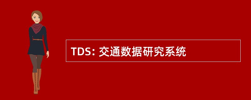 TDS: 交通数据研究系统