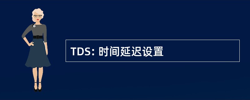 TDS: 时间延迟设置