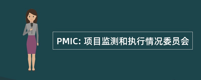 PMIC: 项目监测和执行情况委员会