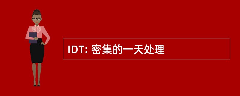 IDT: 密集的一天处理