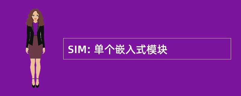 SIM: 单个嵌入式模块