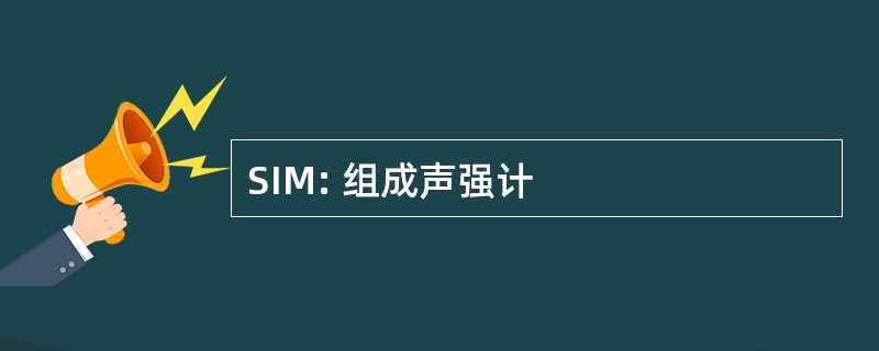 SIM: 组成声强计