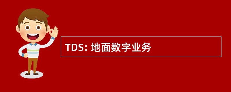 TDS: 地面数字业务