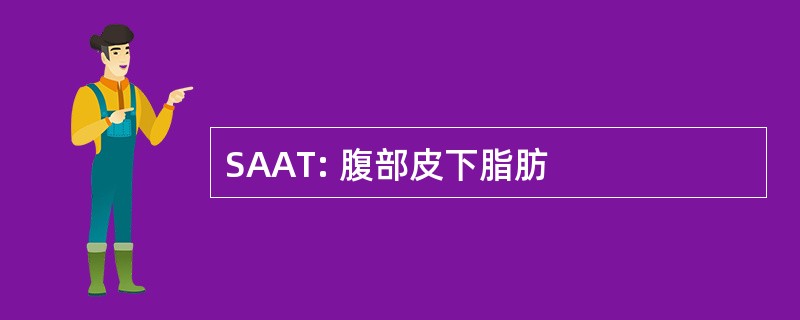 SAAT: 腹部皮下脂肪