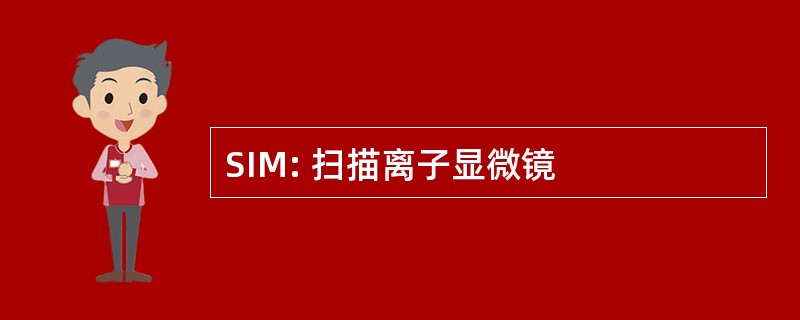 SIM: 扫描离子显微镜