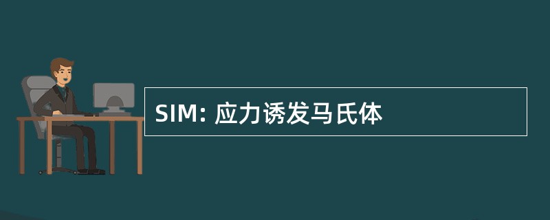 SIM: 应力诱发马氏体