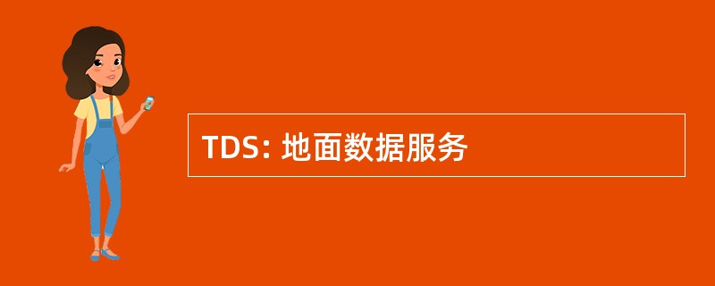 TDS: 地面数据服务