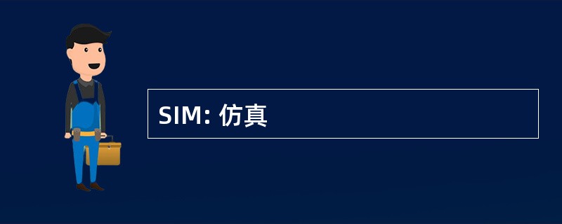 SIM: 仿真