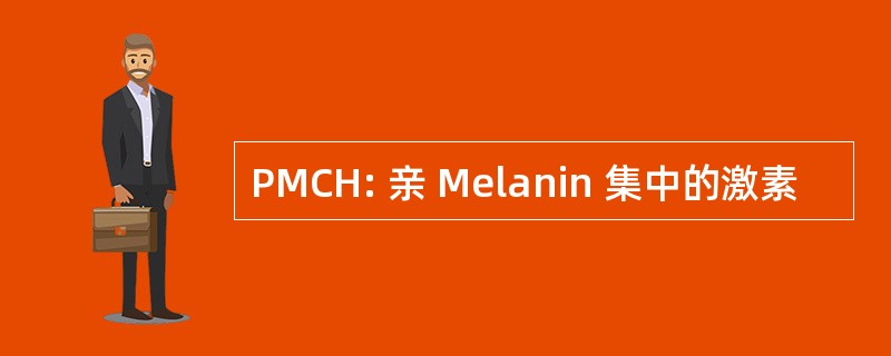 PMCH: 亲 Melanin 集中的激素