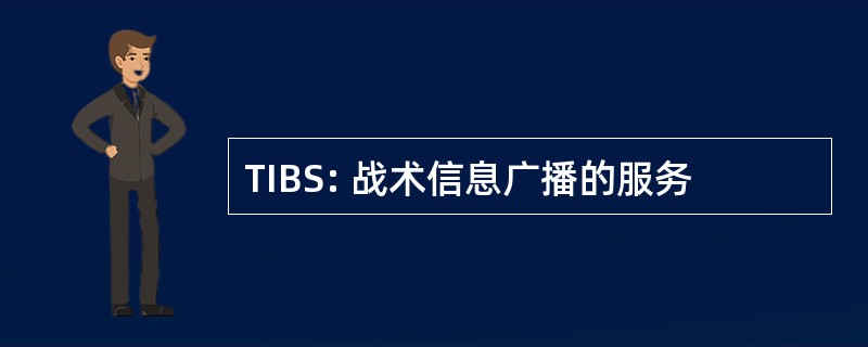 TIBS: 战术信息广播的服务