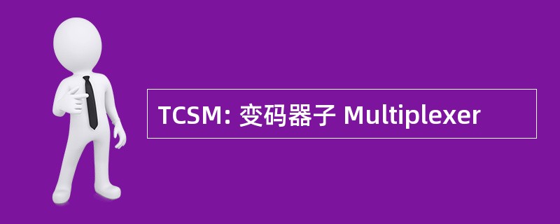 TCSM: 变码器子 Multiplexer