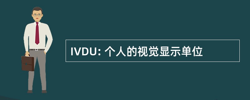 IVDU: 个人的视觉显示单位