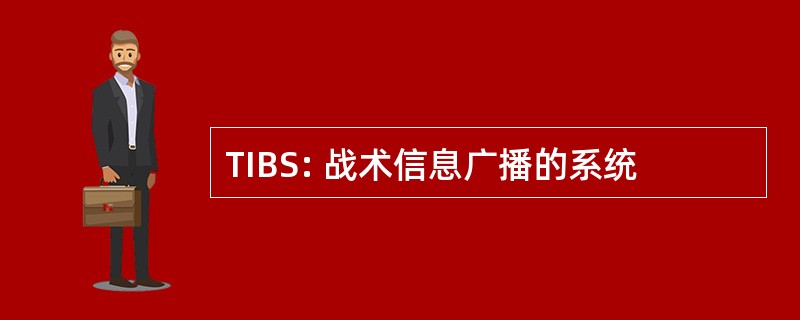 TIBS: 战术信息广播的系统