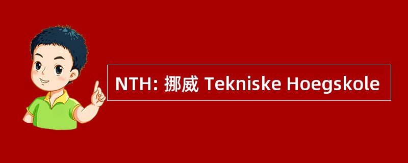 NTH: 挪威 Tekniske Hoegskole