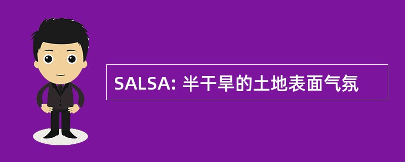 SALSA: 半干旱的土地表面气氛