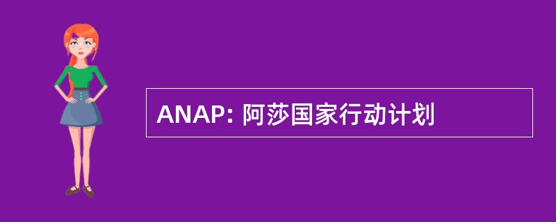 ANAP: 阿莎国家行动计划