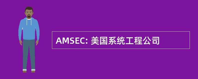 AMSEC: 美国系统工程公司