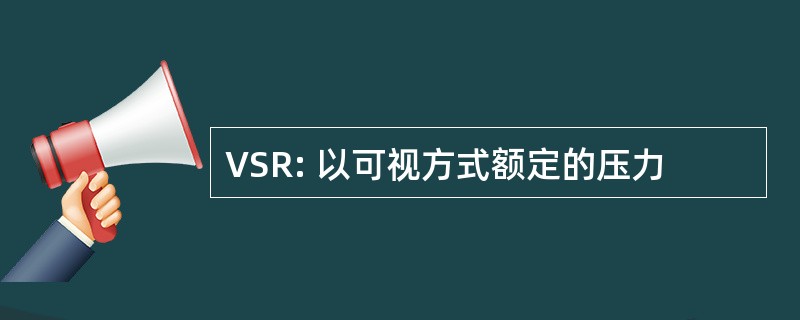 VSR: 以可视方式额定的压力