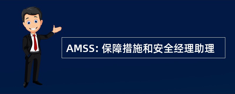 AMSS: 保障措施和安全经理助理